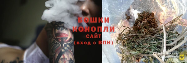 дживик Магас