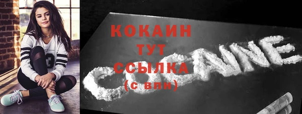 дживик Магас