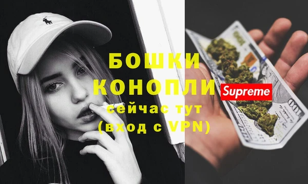 мдпв Майский