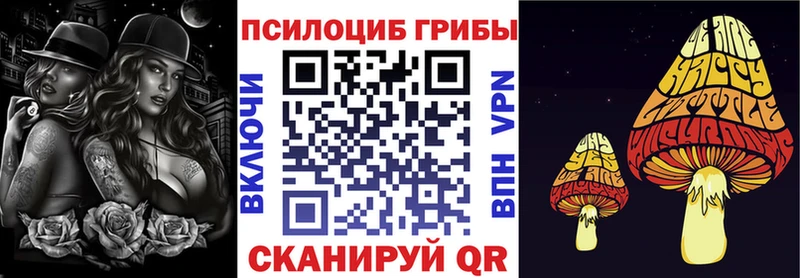 Псилоцибиновые грибы Psilocybe  Купить закладки  Ленинск-Кузнецкий 